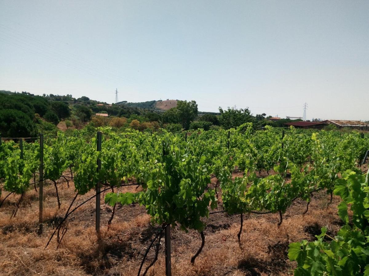 Etnasentieri Wine House On Etna Mount Villa Belpasso Exterior photo