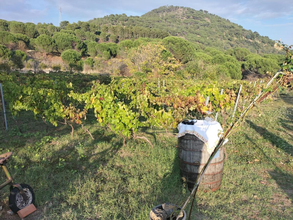 Etnasentieri Wine House On Etna Mount Villa Belpasso Exterior photo