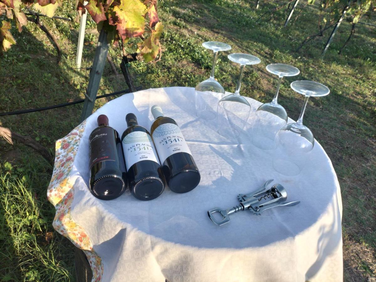 Etnasentieri Wine House On Etna Mount Villa Belpasso Exterior photo