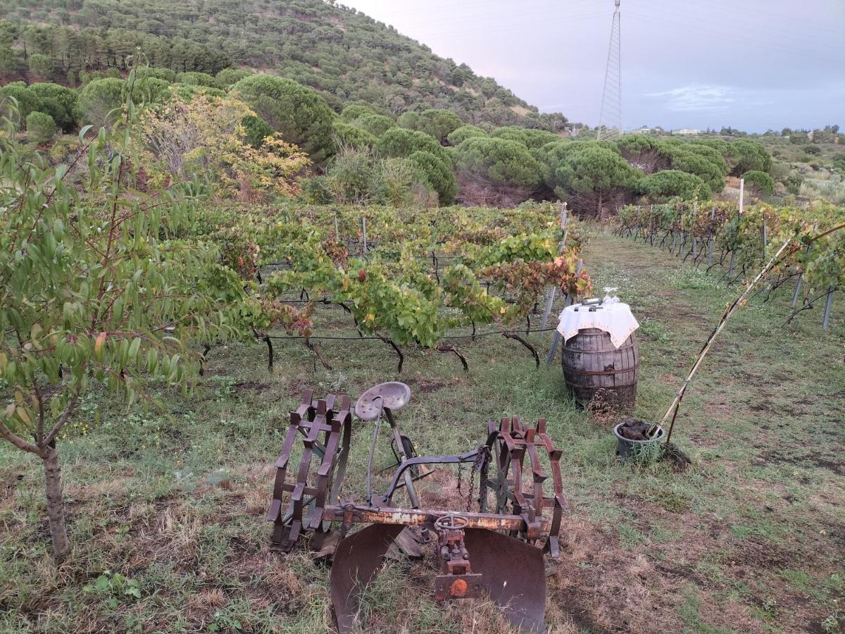 Etnasentieri Wine House On Etna Mount Villa Belpasso Exterior photo